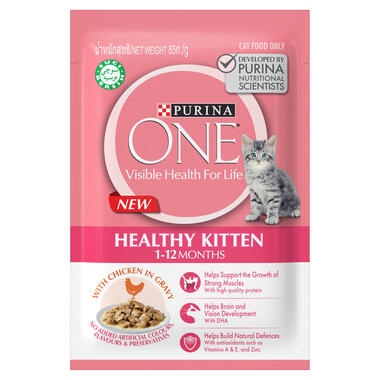 Is wet food hot sale good for kittens